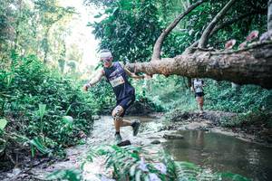 BIB: 
                            <button type="button" onclick="openModal(25430565)" class="btn btn-primary btn-sm float-right btn-popup" data-toggle="modal" data-target=".modal-high-quality">
                        <i class="fas fa-shopping-cart"></i> Add to Cart
                    </button>
                                            <button type="button" onclick="isThisMe(25430565, true)" class="btn btn-success btn-sm float-right btn-popup btn-isme hidden" data-toggle="tooltip" data-placement="bottom" title="นี่คือรูปของคุณใช่ไหม คลิกที่นี่เพื่อเอาเข้าอัลบั้ม">
                        <i class="fas fa-plus"></i> Add to album
                    </button>
                    <button type="button" onclick="isThisMe(25430565, false)" class="btn btn-warning btn-sm float-right btn-popup btn-isnotme hidden">
                        <i class="fas fa-ban"></i> Remove from album
                    </button>